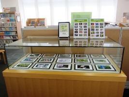 ケース展示「山本ゆたか写真展」全体