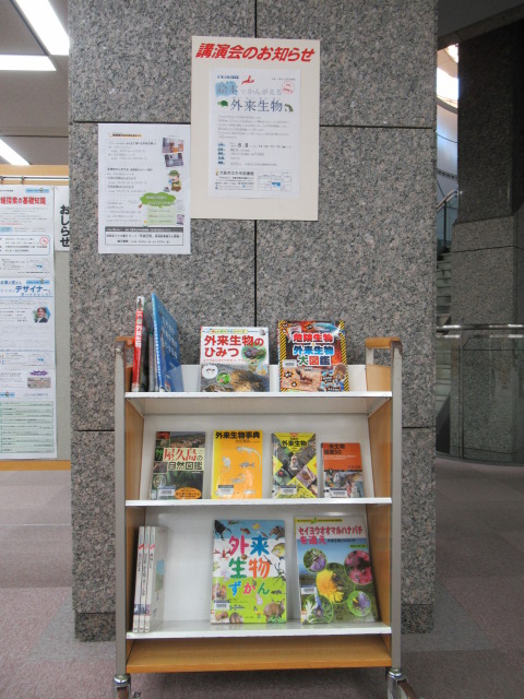 外来生物をかんがえる展　展示の様子