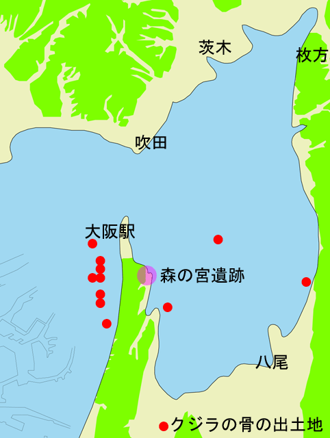 クジラの骨出土地の地図