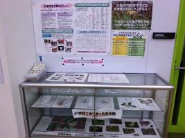 標本の展示と調査の説明